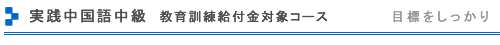 実践中国語中級　1年コース