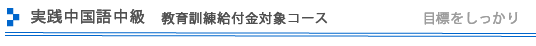実践中国語中級　1年コース