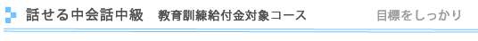 実践中国語中級　1年コース