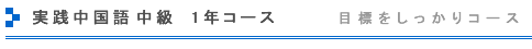 実践台湾華語初中級 1年コース